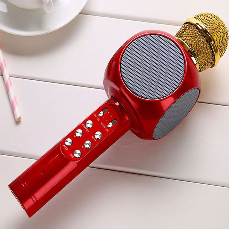 WS1816 Wireless Children Karao - đánh giá và giá Kids Microphone Karaoke