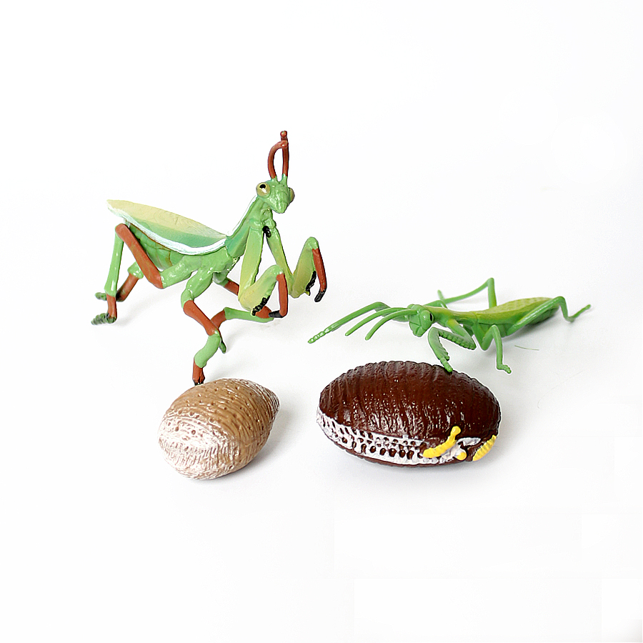 Realistic Orchid Mantis Dead L - đánh giá và giá Kids Toys Home